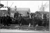 Goole: Railway Horses On Docks