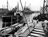 Goole: MV Fortunity, West Dock